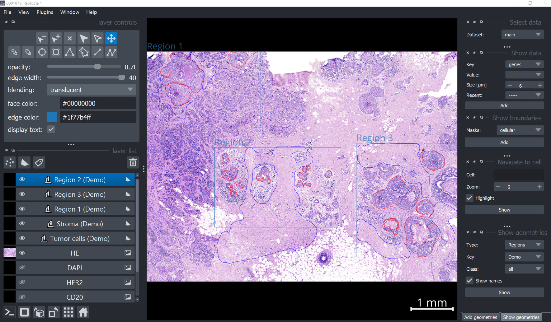 ../../_images/napari_regions_annotations.jpg